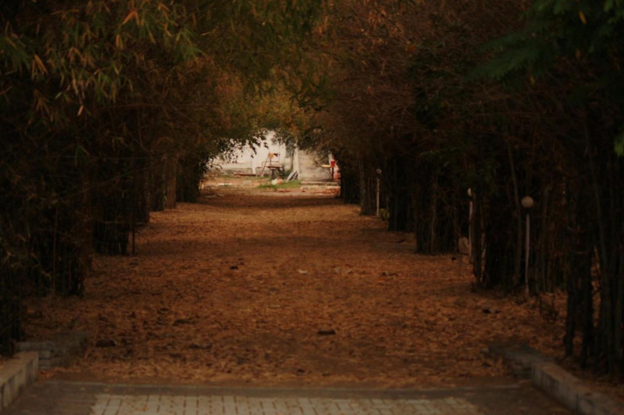 Vividearth Resorts Bandipur Exterior photo
