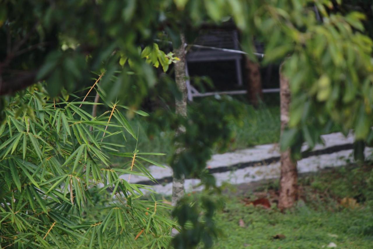 Vividearth Resorts Bandipur Exterior photo